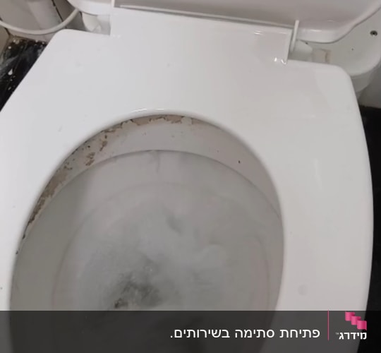 אסלה סתומה המלאה במים עכורים עקב תקלה בביוב